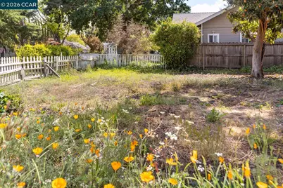 453 Bridge Rd, Walnut Creek, CA 94595 - Photo 23