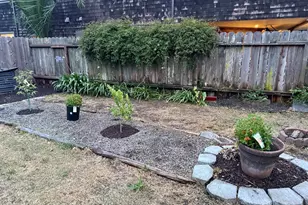 1508 Pacific Ave, Alameda, CA 94501 - Photo 37