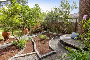 479 Mountain Ave, Piedmont, CA 94611 - Photo 59