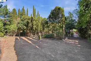 410 Monaco Ave, Union City, CA 94587 - Photo 45