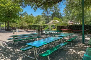 3349 Golden Rain Rd, Walnut Creek, CA 94595 - Photo 53