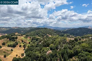 16 Sunnyside Ct, Orinda, CA 94563 - Photo 61