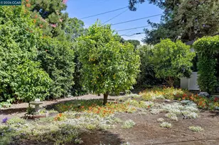 246 Wellington Ave, Concord, CA 94520 - Photo 47