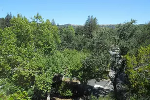3692 Sundale, Lafayette, CA 94549 - Photo 7