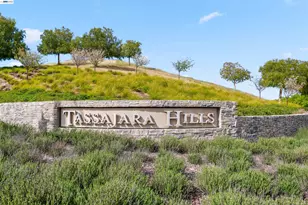 2730 Mount Dana Dr, Dublin, CA 94568 - Photo 45
