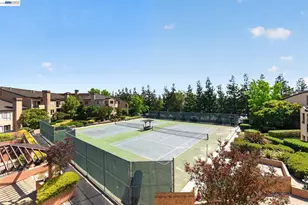 39109 Guardino Dr, Fremont, CA 94538 - Photo 31