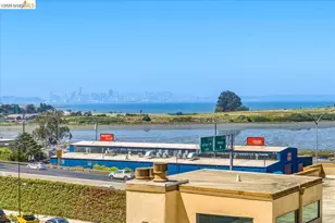 545 Pierce St, Albany, CA 94706 - Photo 29
