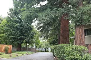 1055 San Ramon Valley Blvd, Danville, CA 94526 - Photo 39
