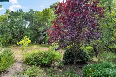 28 Curlew Way, Novato, CA 94949 - Photo 33