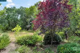 28 Curlew Way, Novato, CA 94949 - Photo 33