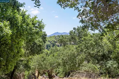 28 Curlew Way, Novato, CA 94949 - Photo 35