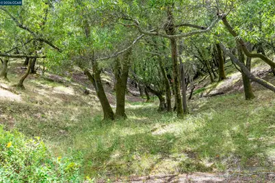 28 Curlew Way, Novato, CA 94949 - Photo 31