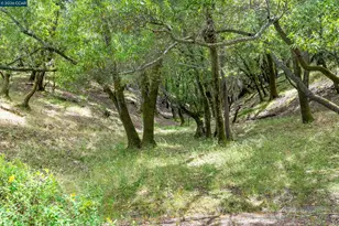 28 Curlew Way, Novato, CA 94949 - Photo 31