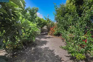 4521 Canyon Rd, El Sobrante, CA 94803 - Photo 23
