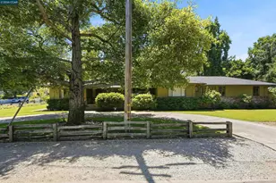 306 Prospect Ave, Danville, CA 94526 - Photo 61