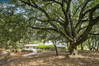 41 Kellie Ann Court, Orinda, CA 94563 - Photo 45