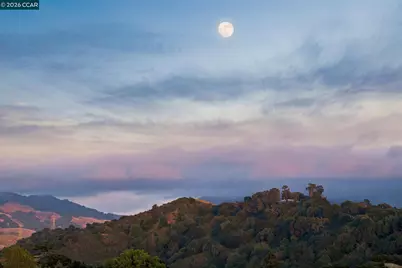 41 Kellie Ann Court, Orinda, CA 94563 - Photo 47