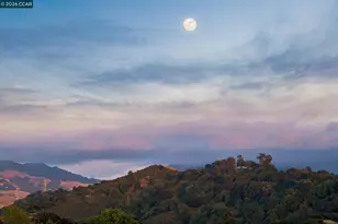 41 Kellie Ann Ct, Orinda, CA 94563 - Photo 47