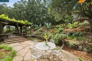 41 Kellie Ann Ct, Orinda, CA 94563 - Photo 39