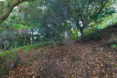 20 Lucille Way, Orinda, CA 94563 - Photo 3