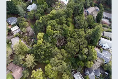 20 Lucille Way, Orinda, CA 94563 - Photo 9