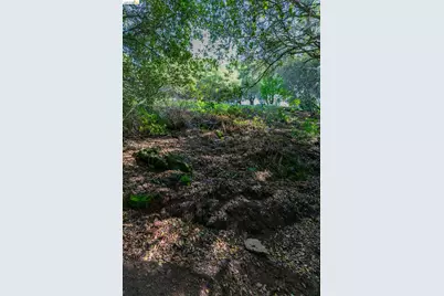 20 Lucille Way, Orinda, CA 94563 - Photo 5