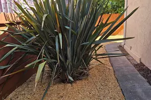 1804 Derby St, Berkeley, CA 94703 - Photo 35