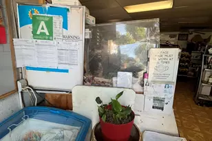 524 Mission Rd, San Gabriel, CA 91776 - Photo 7