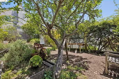 2541 Hilgard Ave, Berkeley, CA 94709 - Photo 45