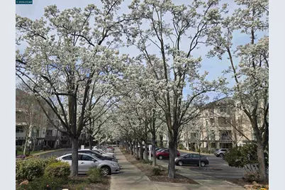 1860 Tice Creek Dr #1208, Walnut Creek, CA 94595 - Photo 25