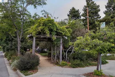 3039 Halcyon Court, Berkeley, CA 94705 - Photo 39