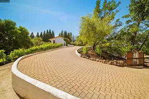 79 Jennifer Ln, Alamo, CA 94507 - Photo 5
