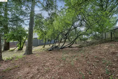 Summit Rd, Berkeley, CA 94708 - Photo 5