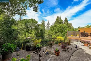 715 Blue Spruce Dr, Danville, CA 94506 - Photo 25