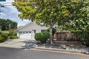 616 Minert Rd, Walnut Creek, CA 94598 - Photo 65