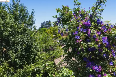 1116 20th St, Oakland, CA 94606 - Photo 29
