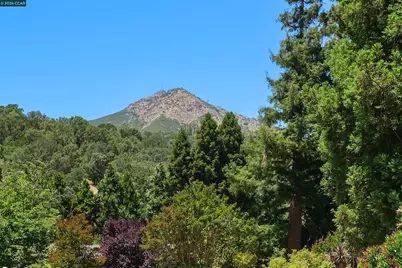 220 Tumbleweed Ct, Clayton, CA 94517 - Photo 39
