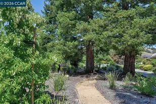 3136 Tice Creek Dr, Walnut Creek, CA 94595 - Photo 41