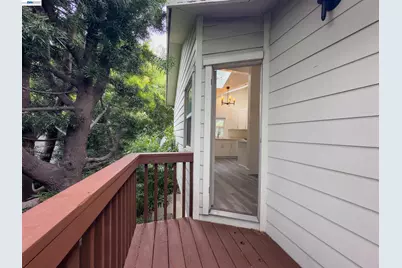 534 Adams St, Albany, CA 94706 - Photo 33