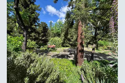 163 El Toyonal, Orinda, CA 94563 - Photo 39
