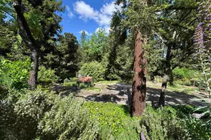 163 El Toyonal, Orinda, CA 94563 - Photo 39