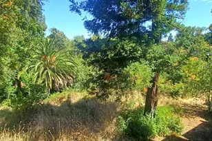 280 Scottsdale Rd, Pleasant Hill, CA 94523 - Photo 5