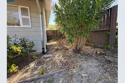 1142 Larch Ave, Moraga, CA 94556 - Photo 5