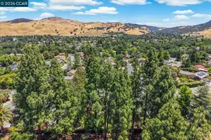 256 Mountaire Cir, Clayton, CA 94517 - Photo 71