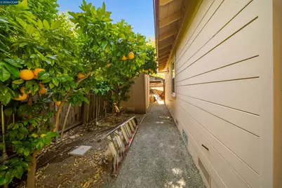 31 Elliot Dr, Pleasant Hill, CA 94523 - Photo 53