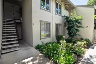 1241 Homestead, Walnut Creek, CA 94598 - Photo 3
