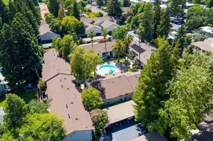 1241 Homestead, Walnut Creek, CA 94598 - Photo 39