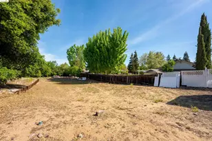 147 Loren Ln, Oakley, CA 94561 - Photo 59