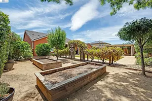 389 Havasu Ct, Brentwood, CA 94513 - Photo 43