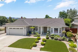 2954 Martin Ave, Pleasanton, CA 94588 - Photo 39